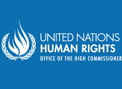 مقتل شقيقين في غارة إسرائيلية على جنوب لبنان ترفع حصيلة القتلى إلى 13