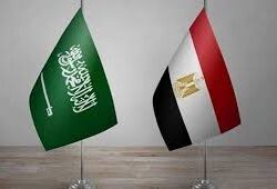 القبض على شخص لترويجه (32) كيلوجرامًا من مادة الحشيش المخدر في جازان