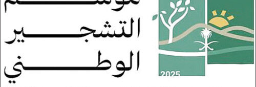 انطلاق موسم التشجير الوطني 2025 . في مختلف مناطق المملكة