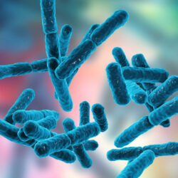 حالة الطقس المتوقعة اليوم في المملكة