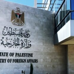 إعدام ما يقرب من مليون طائر في ألمانيا بسبب تفشي إنفلونزا الطيور