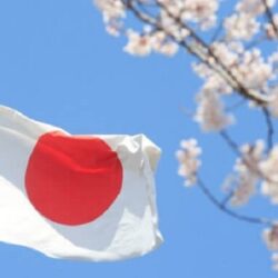 الأمم المتحدة تؤكد أنها تغتنم كل فرصة لإنقاذ الأرواح في غزة رغم العقبات