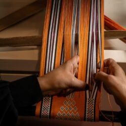 مختصون في الصحة يحذرون من خطر مقاومة المضادات الحيوية