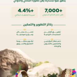 الشاقة ولونير… رحلات بين الحمم والتلال البركانية