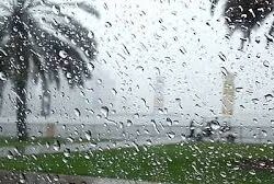 “التجارة” تشهر بمنشأة ومخالفين ارتكبوا الغش التجاري ببيعهم مشروبات غازية منتهية الصلاحية