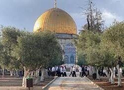 أمير جازان يطَّلع على أعمال الهيئة العامة للغذاء والدواء بالمنطقة