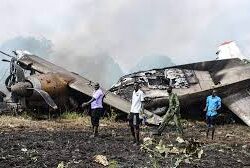 السدر في جازان.. غطاء نباتي متجذر يكافح التصحّر