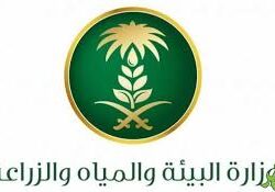 المرور السعودي يكشف عن أبرز (3) مسببات للحوادث المرورية في منطقة جازان