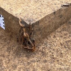 حالة الطقس المتوقعة اليوم في المملكة