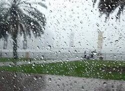 صناعة الخوص.. تجربة سياحية تراثية تجذب زوار مهرجان جازان 2026