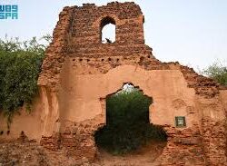 جازان: “الهلال الأحمر” يكرم 22 ألف متطوع في حفل سنوي