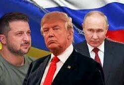 دوريات الإدارة العامة للمجاهدين بمنطقة جازان تقبض على مواطن لنقله مخالفًا لنظام أمن الحدود