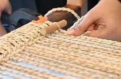 أمير منطقة جازان يستقبل مدير فرع وزارة البيئة والمياه والزراعة