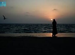 لغة الحقول في خريف جازان.. ذاكرةُ المزارعين وحكاياتُ القرى