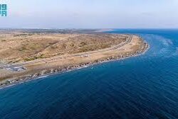 جامعة جازان تفتح باب القبول في دبلومات عن بُعد بتخصصات تلبي احتياجات سوق العمل