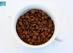 نائب أمير منطقة جازان يعزي محافظ العارضة في وفاة عمه