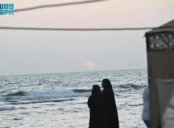 رصد أكثر من 10 آلاف طائر مائي في محمية جزر فرسان خلال التعداد الشتوي 2025