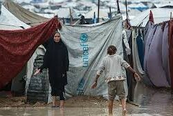 مجلس حكماء المسلمين يُدين مصادقة الاحتلال على 19 مستوطنة بالضفة الغربية