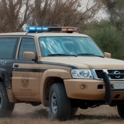 حساب المواطن يبدأ إيداع دعم يناير شاملًا الدعم الإضافي