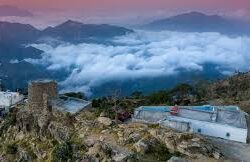 أمناء عموم الغرف التجارية بالمملكة يعقدون اجتماعهم الأول في مقر غرفة جازان