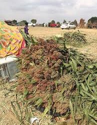 صناعات واعدة ومعادن نفيسة تتجاوز قيمتها 127 مليار ريال في منطقة جازان