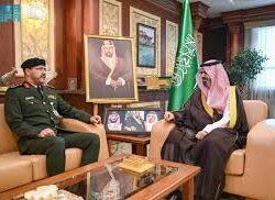 السمسم الجازاني.. محصول تراثي يتحول لفرصة اقتصادية عبر المتاجر الإلكترونية