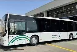 القبض على 17 مخالفا من الجنسية الإثيوبية لتهريبهم 306 كجم من القات في جازان