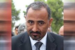 عضو مجلس الشورى اليمني : السعودية تقود جهوداً صادقة لرأب الصدع الجنوبي وتعيد الأمل للمحافظات الشرقية