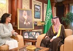 أشجار السلم في منطقة جازان.. صمود الطبيعة وركيزة الحياة والتنوع البيئي