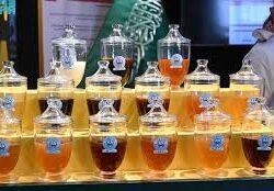 What Makes Modern Online Casinos So Popular