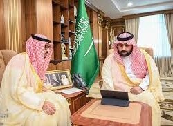 فراشة الملك.. أيقونة التنوع الحيوي في جازان