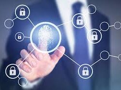 خادم الحرمين الشريفين يرأس جلسة مجلس الوزراء ويقر حزمة قرارات واتفاقيات