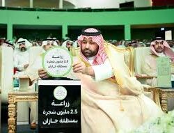 27 جمعية صحية بجازان تحقق منجزات نوعية وتعزز جودة الحياة