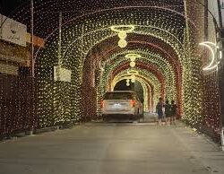 هيئة حقوق الإنسان بالتعاون الإسلامي تدين تسجيل الاحتلال لأراضي الضفة كأملاك دولة