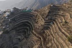 أحياء جازان.. موائد رمضانية تعزز الألفة بين الأجيال