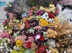 أمانة جازان تُكمل استعداداتها لعيد الفطر بـ26 ساحة فعاليات و50 ألف هدية للزوار