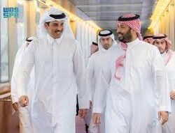 تعليم جازان يدعو الطلاب والطالبات للتسجيل في مسابقة “كانجارو موهبة” العالمية في الرياضيات