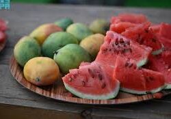 المتحدث الرسمي لوزارة الدفاع: محاولة هجوم على مصفاة رأس تنورة