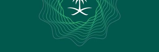 وزارة المالية تعلن بدء العمل بنظام الرقابة المالية وتُصدر لائحته التنفيذية