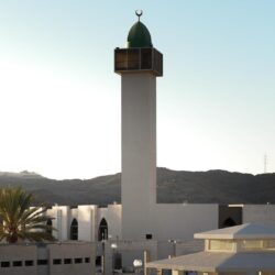 هيئة التراث تعلن نتائج أعمال التنقيب الأثري لعام 2025 للبعثة السعودية – الصينية