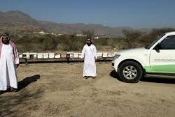 أمير جازان يؤكد تطوير البيئة الرياضية وتحقيق مستهدفات رؤية 2030 بالمنطقة