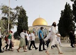 الأوقاف تبدأ إيداع أرباح 2025 للعقارات الموقوفة بعوائد تراكمية بلغت 1.58 مليار ريال