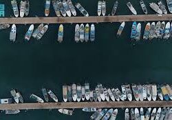 “من الفكرة إلى الملكية الفكرية”.. ورشة عمل بغرفة جازان