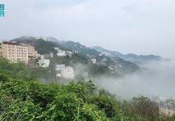 علوم وتقنيات / الأمير محمد بن عبدالعزيز يدشن “قافلة التنمية الرقمية” لتعزيز الوصول إلى الخدمات الإلكترونية بمحافظات منطقة جازان