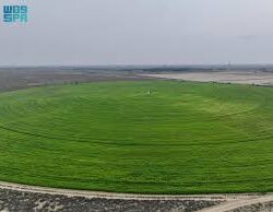 جازان تتصدر مناطق المملكة في معدلات القراءة لعام 2025