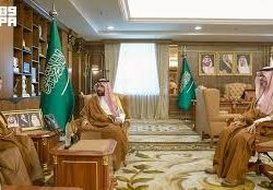 في اليوم العالمي للنحل.. عسل جازان يروي سيرة الأرض والجبال