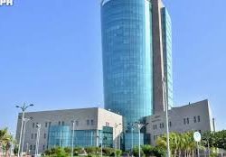جبال الحشر في جازان.. موئلٌ طبيعي يزخر بتنوّع الكائنات الحية وثراء الطيور في مشهد بيئي متوازن