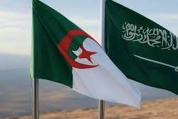 جولات ميدانية لمتابعة جاهزية مسالخ مكة والمشاعر لحج 1447هـ