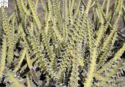 Bitcoin & Crypto Casino