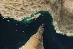 المملكة تنتج أكثر من 70 ألف طن من الشمام سنوياً في 7 مناطق